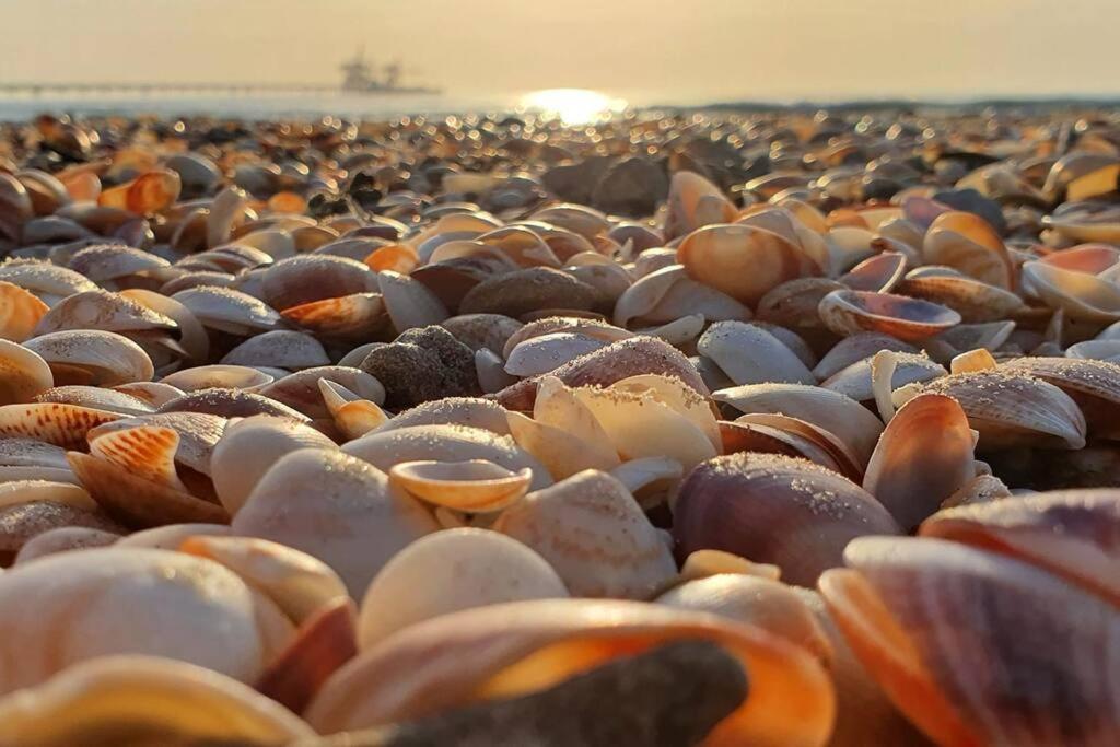 شقة Caesarea Magic المظهر الخارجي الصورة